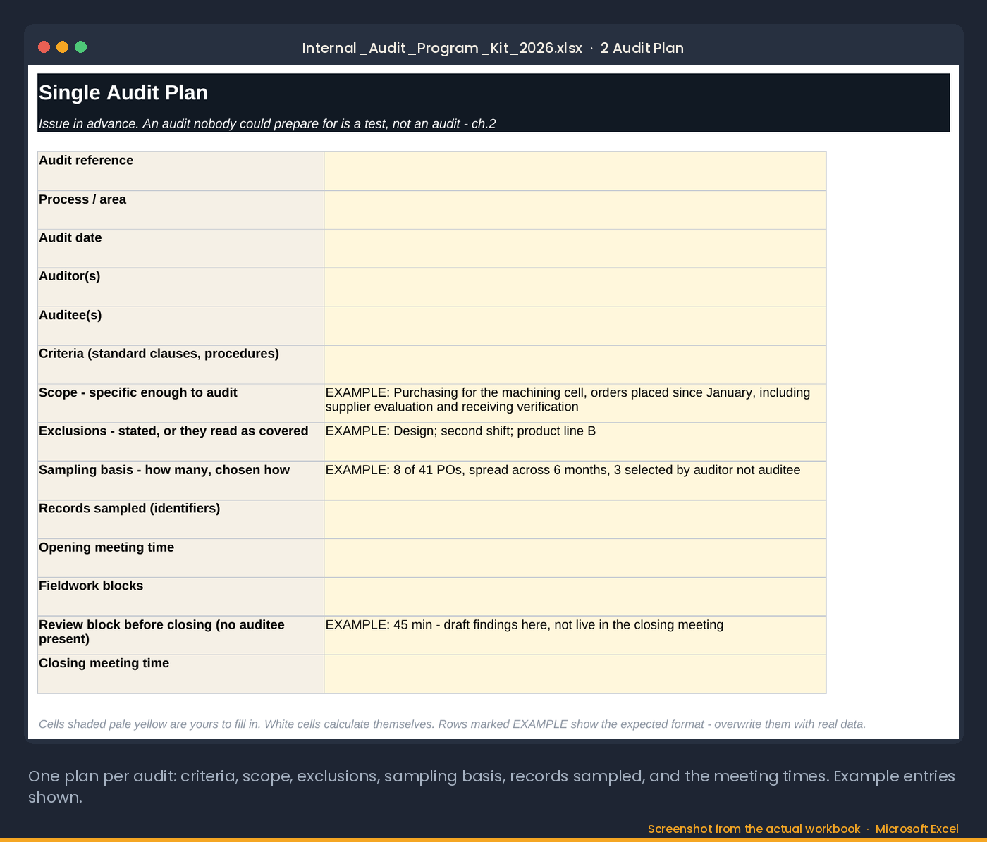 The Single Audit Plan tab: criteria, scope, exclusions, sampling basis, records sampled and the meeting times, one plan per audit